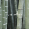 Pure Forest Sounds - Forest Sounds new Single