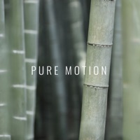 Pure Forest Sounds - Forest Sounds