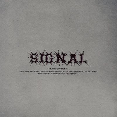 Signal - Single