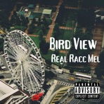 Bird View - Single