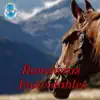 Los Rancheritos - El Puerto del Olvido
