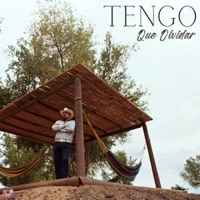 Tengo Que Olvidar - Single - El Lobo De Durango