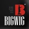 I'm a BIGWIG - M.I. Abaga lyrics