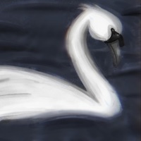 things i've never shown (feat. sideshowhan & Overpade) - Single - wolo polo