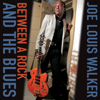 If There's A Heaven - Joe Louis Walker
