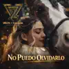 NO PUEDO OLVIDARLO