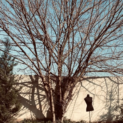 Flouel she said the end (feat. Mowy24) - Single