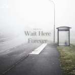 Wait Here Forever - Single