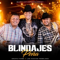 Blindajes Peña (En Vivo) - Single - Grupo Firme & Los Nuevos Rebeldes