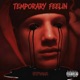 Temporary feelin Single