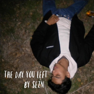 the day you left - Single