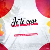 Je te veux que pour moi (feat. Natoxie) artwork