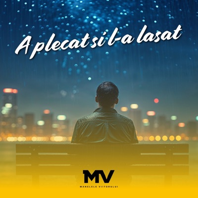 A plecat si l-a lasat - Single