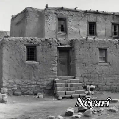 Listen to Nêçarî - Single by Ergin Xelikan