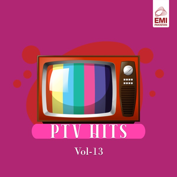 Ptv. Hits, Vol. 13