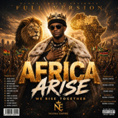 Africa Arise (Radio Version) song art
