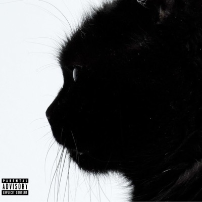 Feel Like (feat. Xto & Matrix Kiid) - Single