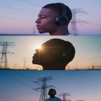 Lunar New Year - Dion Wright