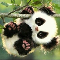 save the world (feat. atl smook, tally & deadat18) - Single - Cranes