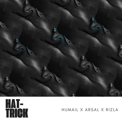 HAT-TRICK (feat. Arsal Awais, RizlaPapi & prodyungtune) - Single