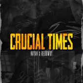 Crucial Times (feat. Redbwoy) artwork