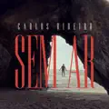 SEM AR