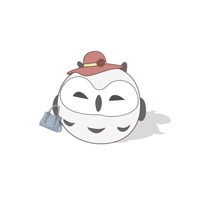 CLASSY DAME - Single - bear bear & friends