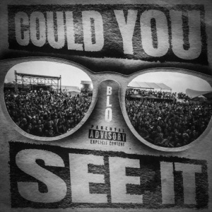 Could You See It - Single