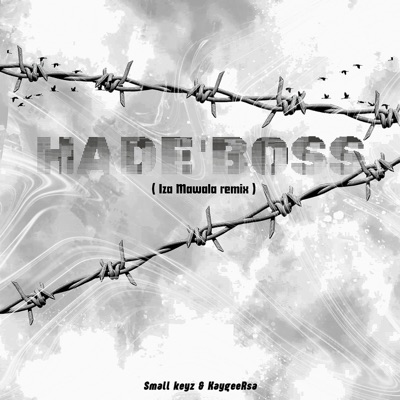 Hade'boss (feat. KaygeeRsa) [Iza Mawala remix] - Single