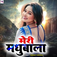 Meri Madhubala - Single - Santosh Vishwikar