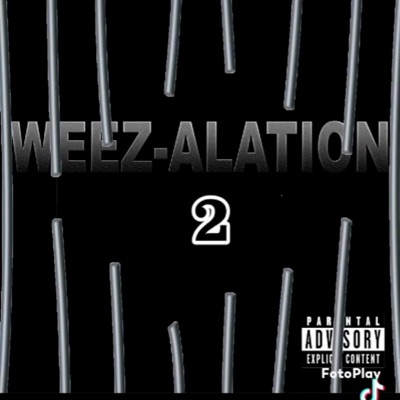 Weez-Alation 2