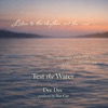 Icon Test the Water (feat. Dee Dee) - Single