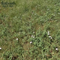 Rest Ur Head - Single - deathmoth