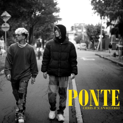 Ponte - Single