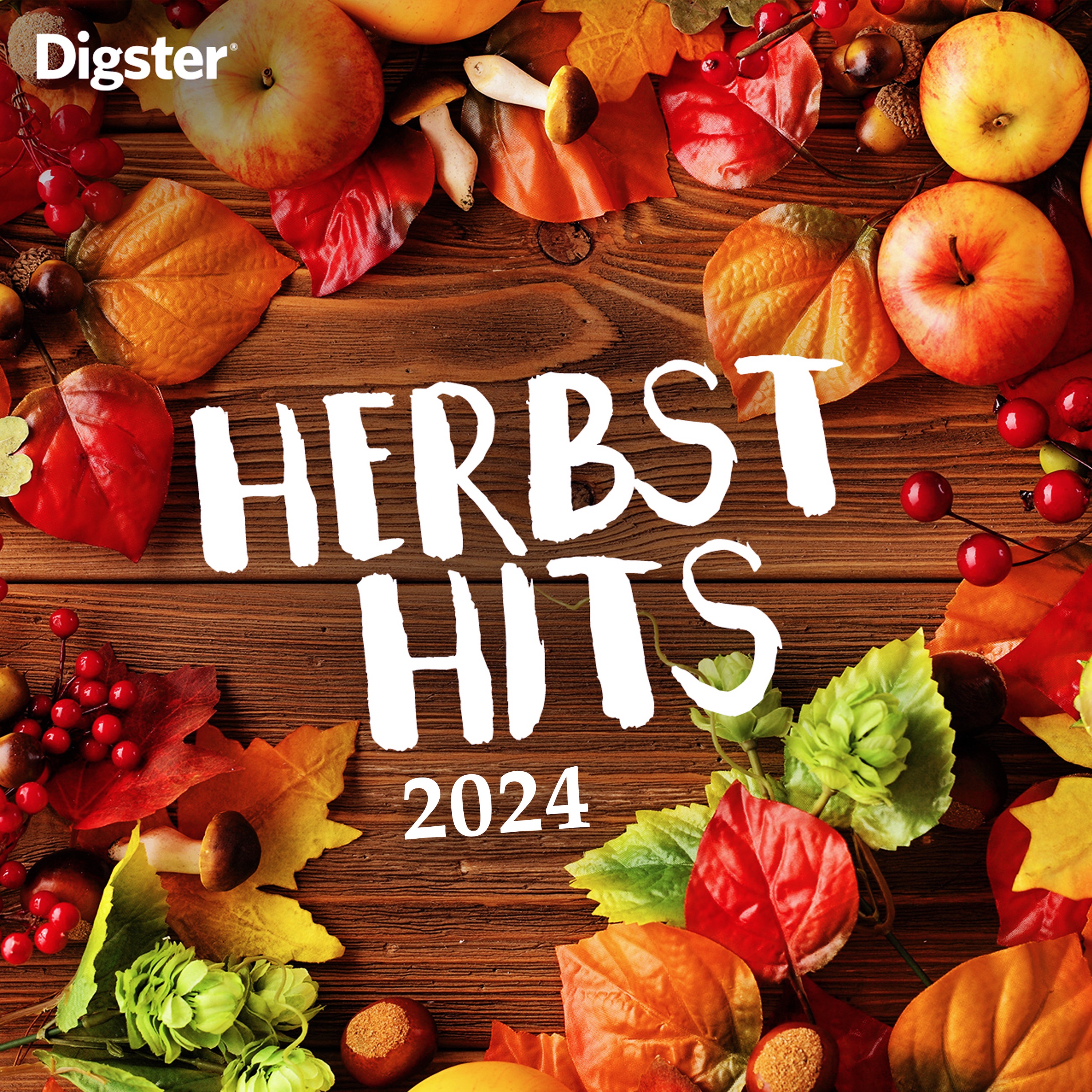 SDP & Sido & Esther Graf - Mama hat gesagt | Mark