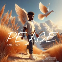Lookin for peace - Single - Amoray
