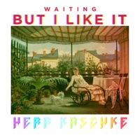 Waiting, but I like it - Single - Herr Kaschke