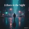 Echoes in the Night