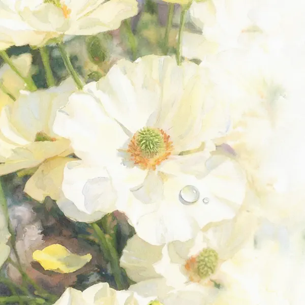 アネモネ by Novelbright – Apple Music