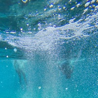 Tides [Infinity] - Single - Catching Flies