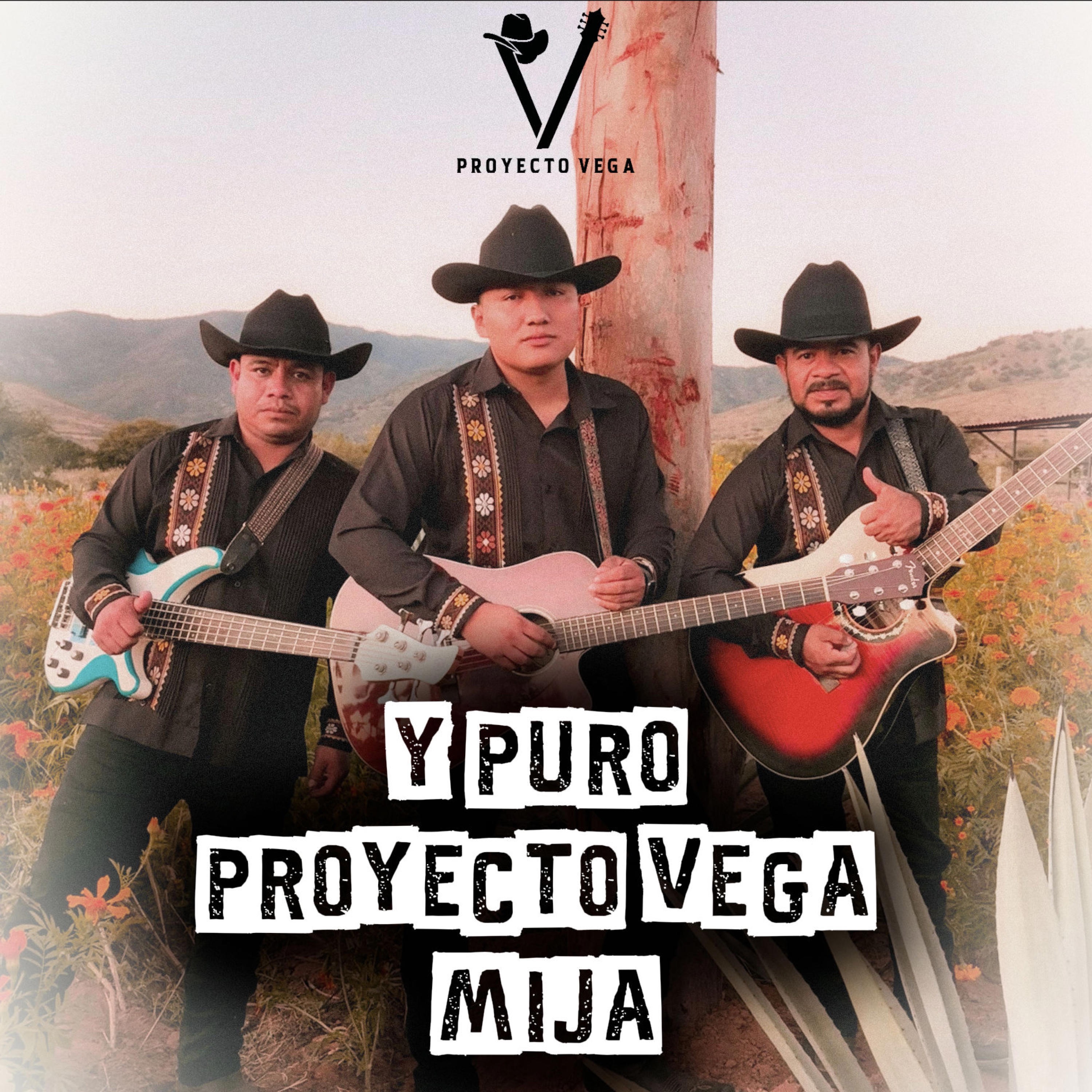 Y Puro Proyecto Vega Mija
