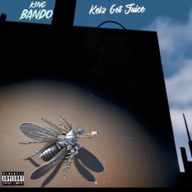 Fly On the Wall (feat. Kelz Got Juice) King Bando