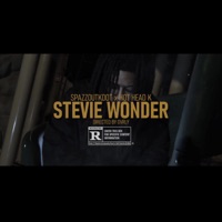 Stevie Wonderr (feat. HotheadK) - Single - Spazzoutkdot