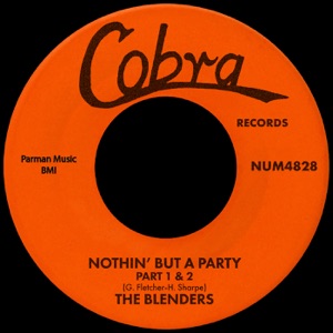 Nothin' But A Party - Single