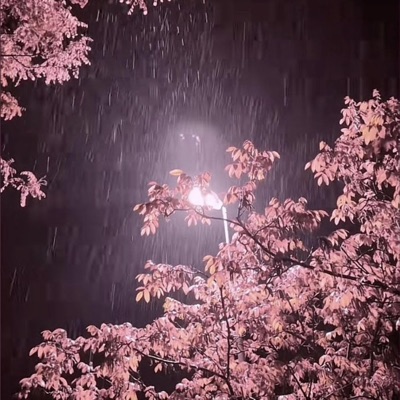 nobodiesinwonderland - EP