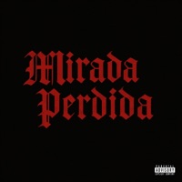 Mirada Perdida - Single - Joa Perez, alexlunguss & Tristan Galvan