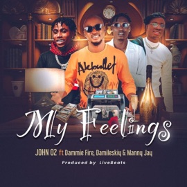 My Feelings (feat. Dammie Fire, Manny Jay & John02) Damileskiy