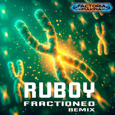 Fractioned 2024 Remix (Short Edit) - Single