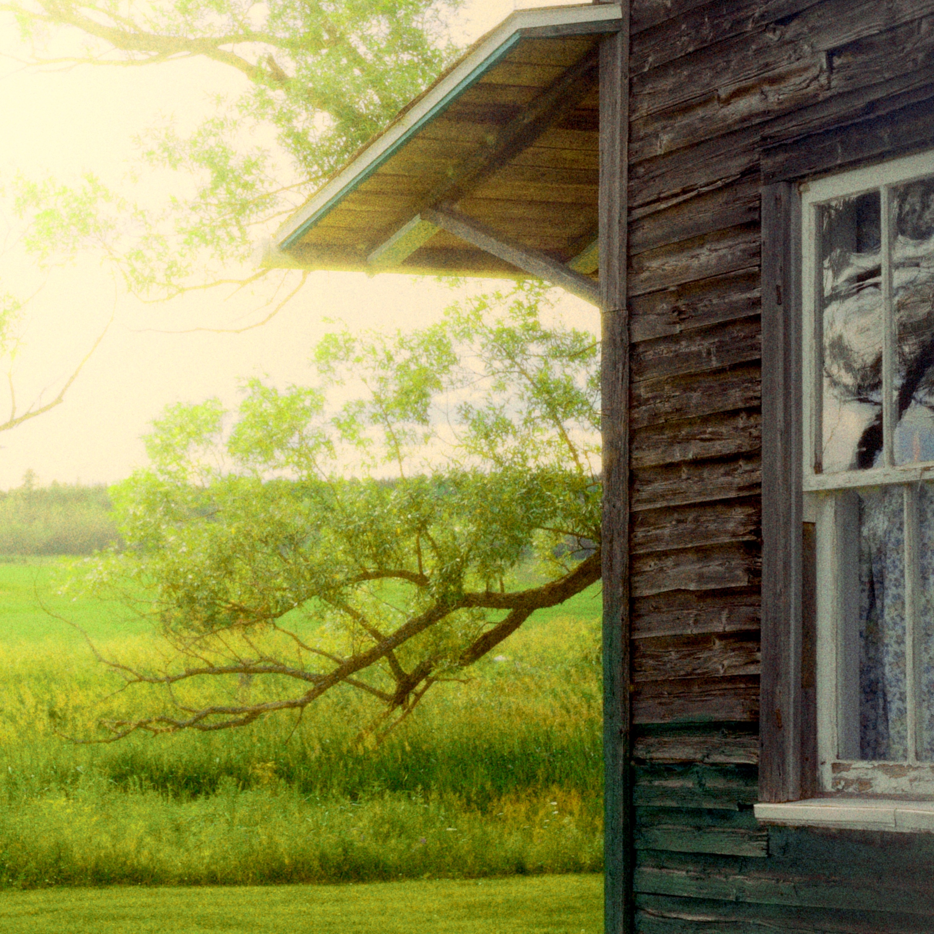 Je veux encore - Single