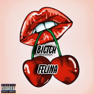 Bitch Felina (feat. Prod NLX & O Kiel)